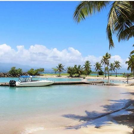 Studio Confort Pres Des Plages Le Gosier  Kültér fotó
